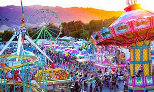 fair sex